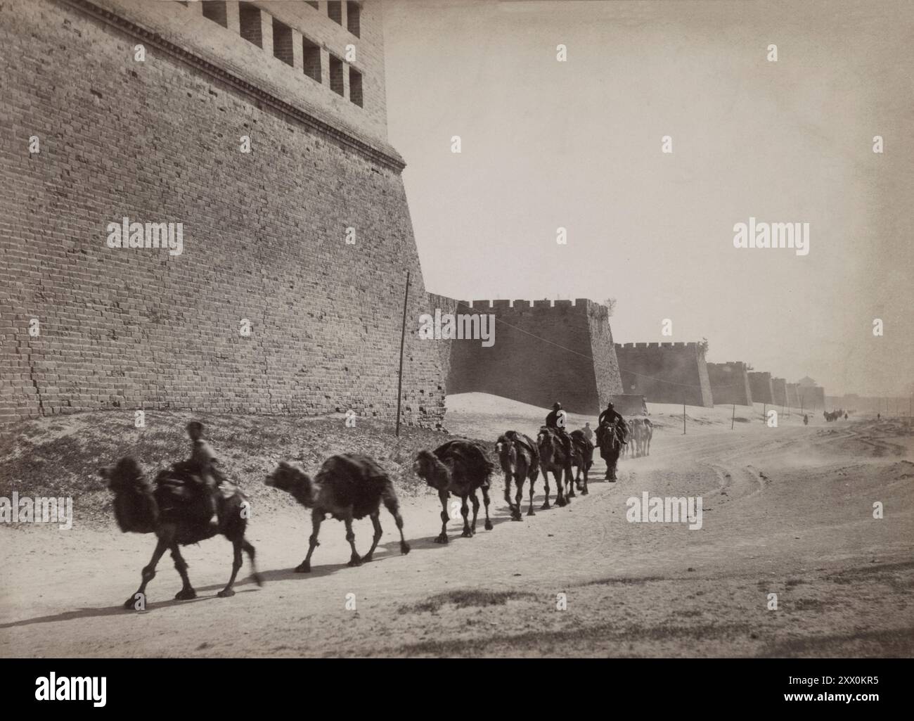 Illustrazioni di Qing China. Foto d'epoca di una carovana di cammelli fuori dalle mura della città. Pechino (Pechino), Cina. 1902-1908 Foto Stock