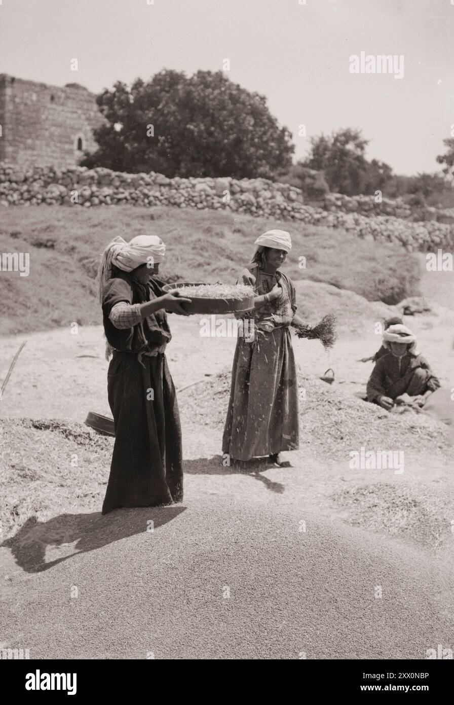 Vita in Palestina all'inizio del XX secolo. Setacciare il grano. Palestina storica. Impero Ottomano. 1900-1920 Foto Stock