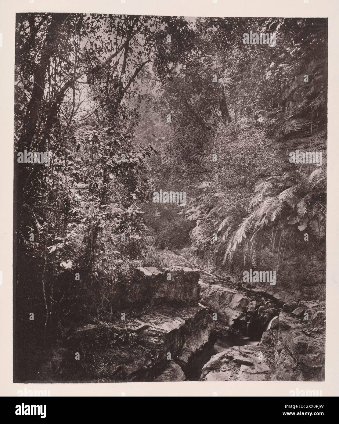 Foto d'epoca di un passo di montagna nell'isola di Formosa (Taiwan). Illustrazioni di Qing Cina, 1875 ... l'isola di Formosa si estende tra 26° e 23° di latitudine nord. È lungo circa 250 miglia e ha una larghezza media di 60 miglia. Una catena montuosa alta taglia l'isola da nord a sud, e le sue vette possono essere descritte dalla terraferma quando il tempo è limpido. Il luogo è rivendicato dai cinesi ed è incluso come dipendenza nel governo di Fukien, al largo di quale provincia si trova. La vista del passo montano, preso nei pressi di la-ko-li, su uno degli speroni inferiori della m centrale Foto Stock