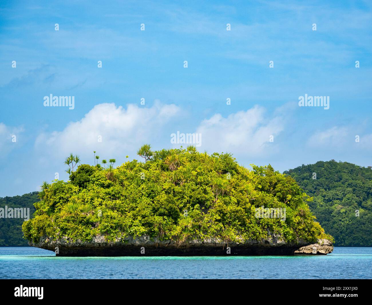 Esempio di folta fogliame e isolotti sottosquadro, Palau, Micronesia, Pacifico Foto Stock