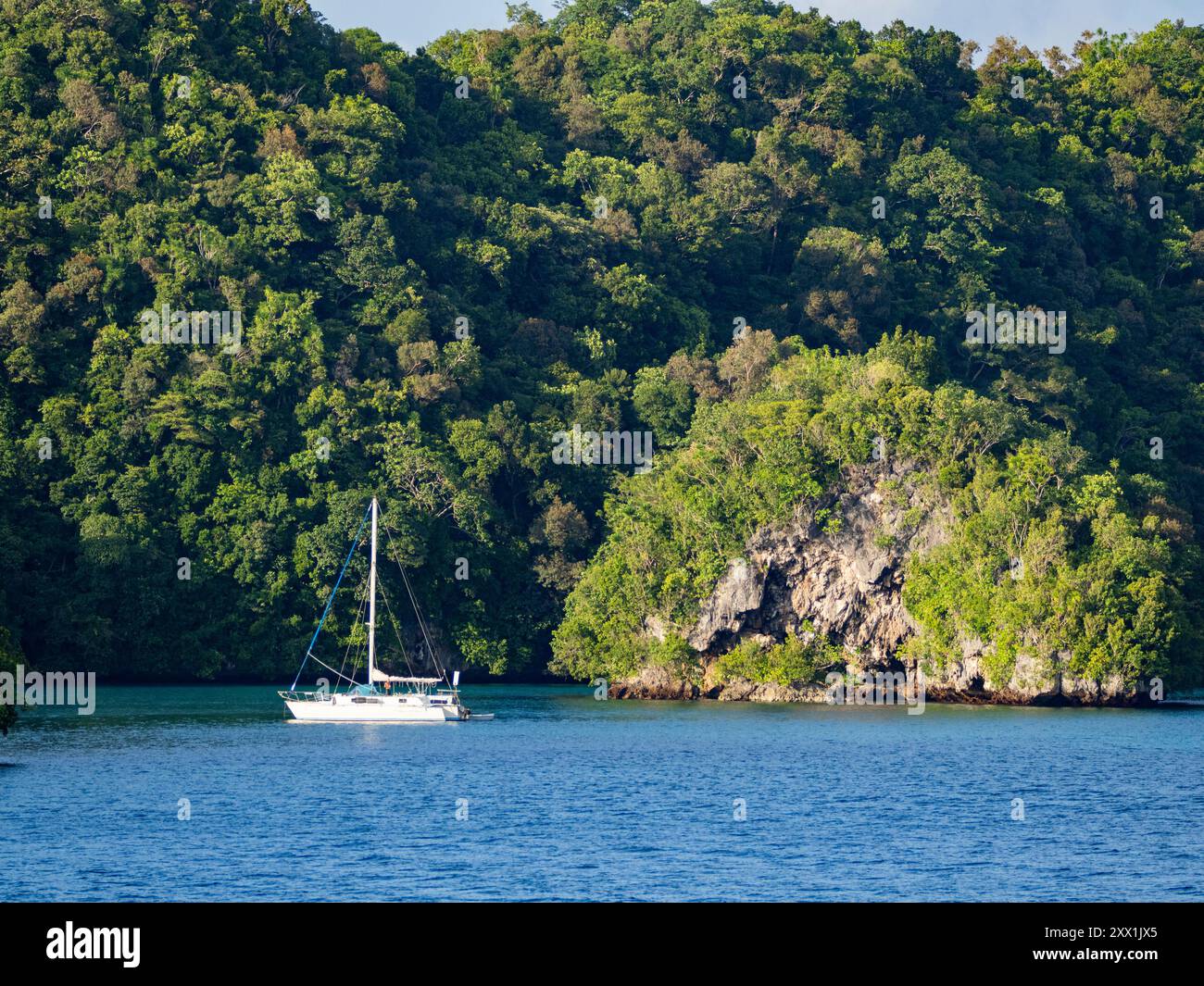 Una barca a vela ancorata nel folto fogliame e nelle isolette sottostanti, Palau, Micronesia, Pacifico Foto Stock