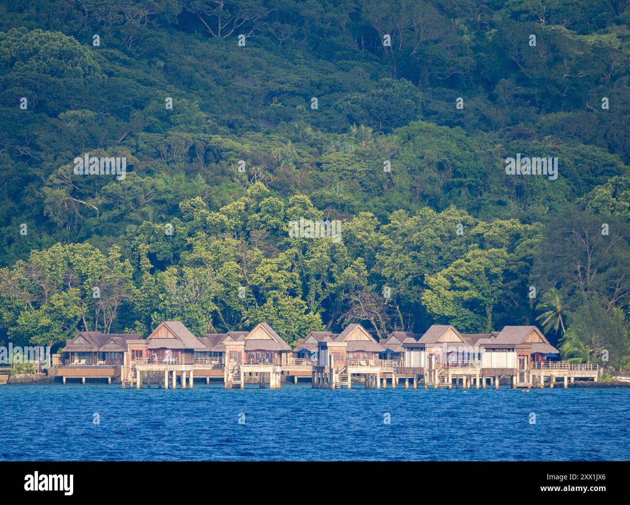Esempio di folta vegetazione vicino a una località turistica, Palau, Micronesia, Pacifico Foto Stock