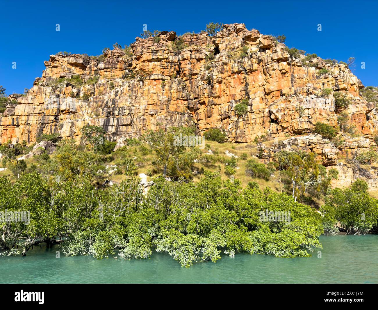 Mangrovie di fronte alle formazioni di arenaria King Leopold, Hunter River, Frederick Harbor, Kimberley, Australia Occidentale, Australia, Pacifico Foto Stock