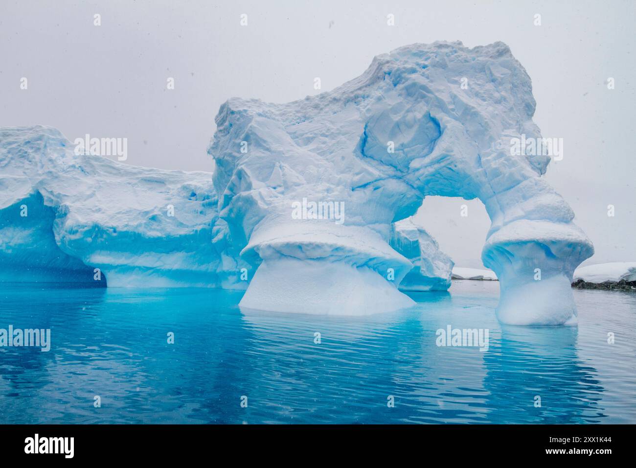 Iceberg vicino alla Penisola Antartica durante i mesi estivi, Antartide, Oceano meridionale, regioni polari Foto Stock