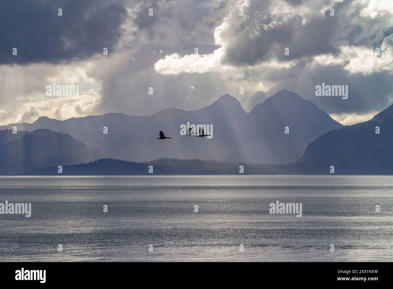 Vista panoramica del parco e della riserva nazionale di Glacier Bay, sito patrimonio dell'umanità dell'UNESCO, Alaska sud-orientale, Oceano Pacifico, Stati Uniti d'America Foto Stock