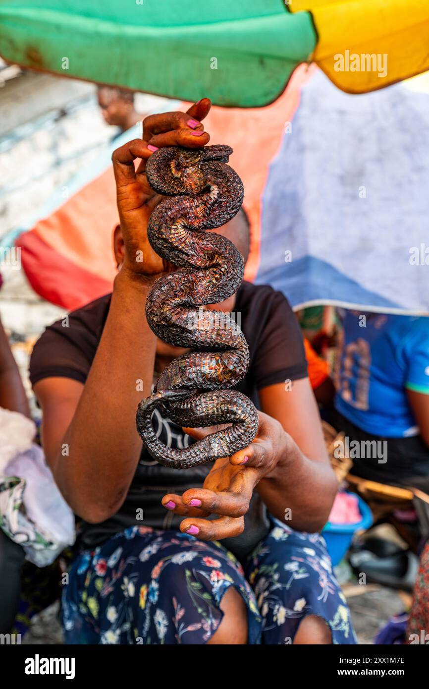 Serpenti affumicati per la vendita su un mercato, Mbandaka, provincia di Equateur, Repubblica Democratica del Congo, Africa Foto Stock
