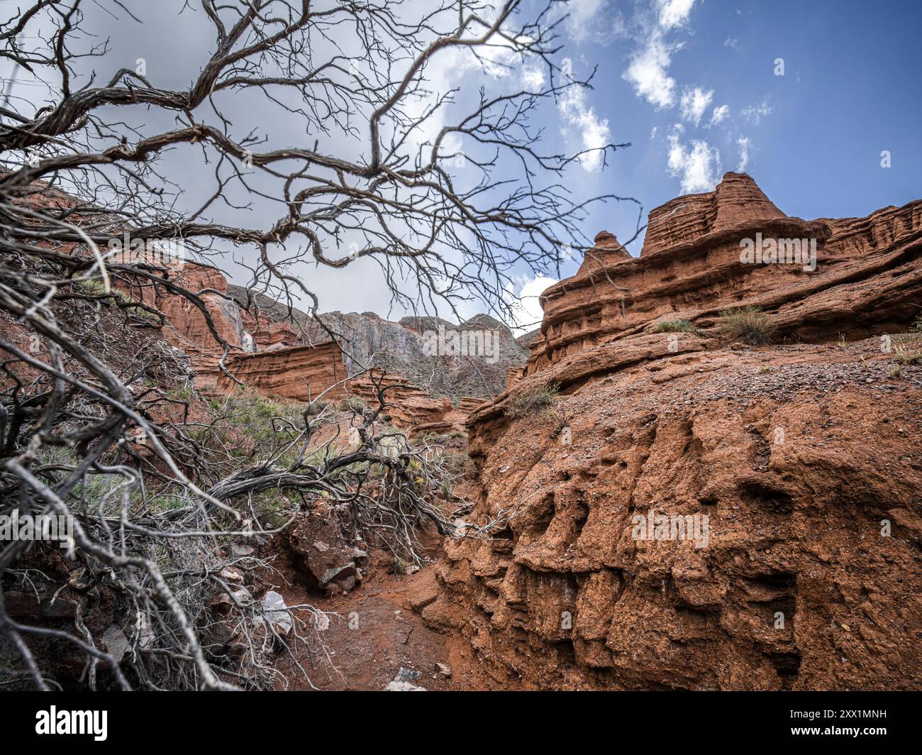 Maestose guglie di roccia rossa nel canyon Kok-Moinok, Kirghizistan, Asia centrale, Asia Foto Stock