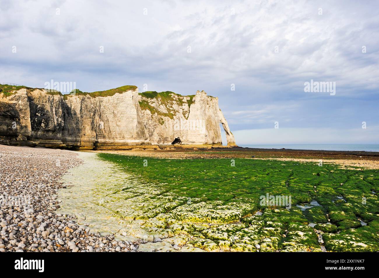 Foreshore con bassa marea e scogliera, Etretat, dipartimento Senna-marittimo, regione della Normandia, Francia, Europa Foto Stock