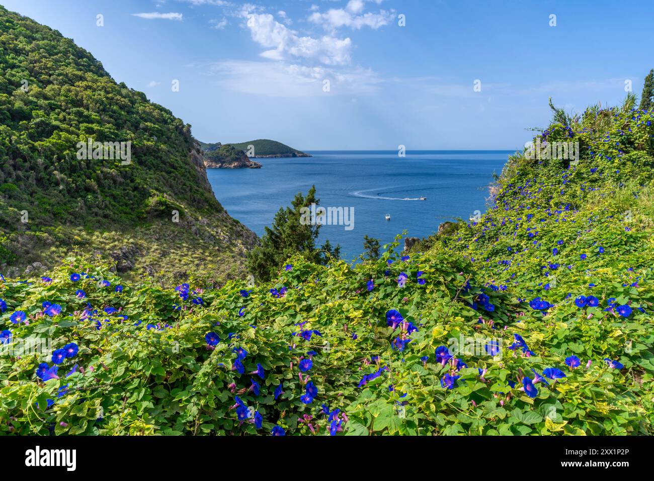 Vista della costa e del Mar Ionio vicino a Palaiokastritsa, Palaiokastritsa, Corfù, Mar Ionio, isole greche, Grecia, Europa Foto Stock