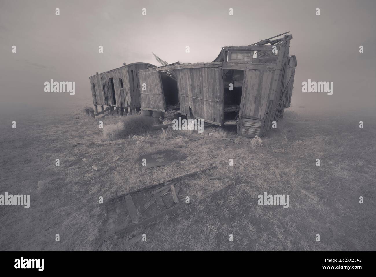 Vagoni in legno d'epoca abbandonati in un campo nebbioso, Australia Foto Stock