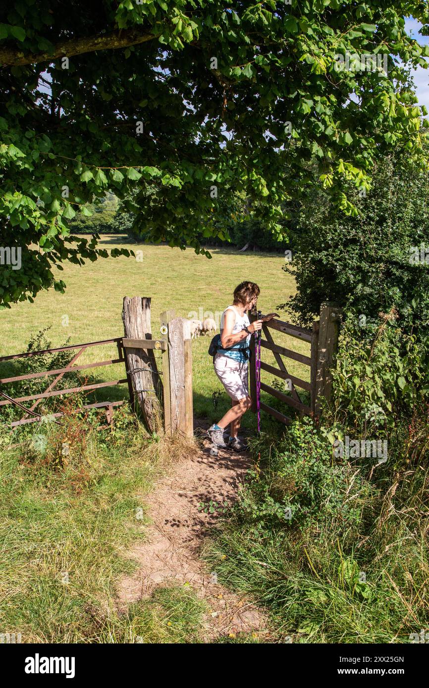 Donna che cammina lungo il sentiero Offa's Dyke nella campagna gallese del Monmouthshire, Galles Foto Stock