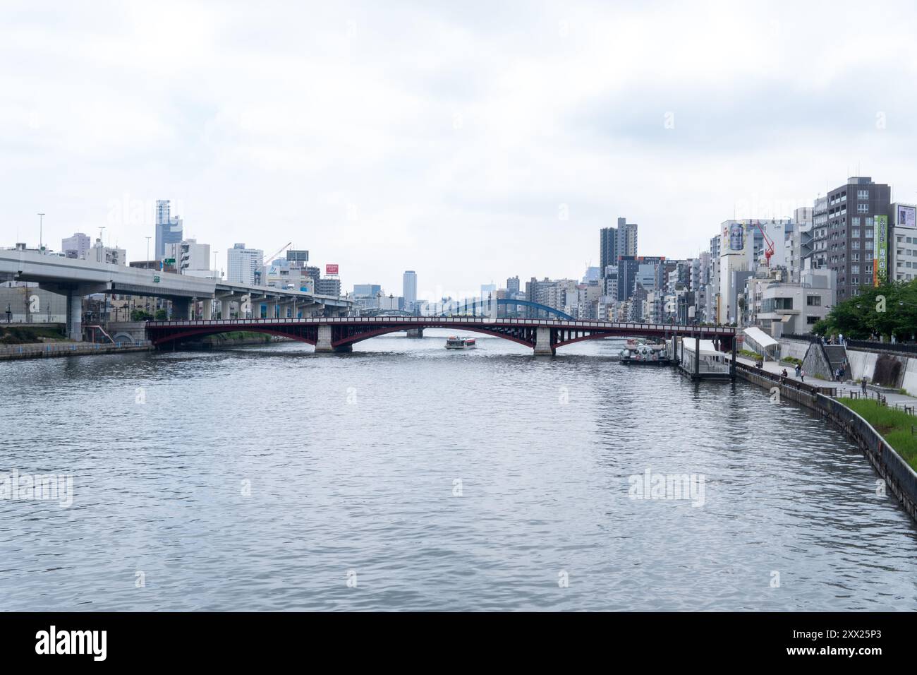 Ponti che attraversano il fiume Sumida a Tokyo, in Giappone, in un giorno coperto, con moderni edifici cittadini che fiancheggiano le rive del fiume. Foto Stock