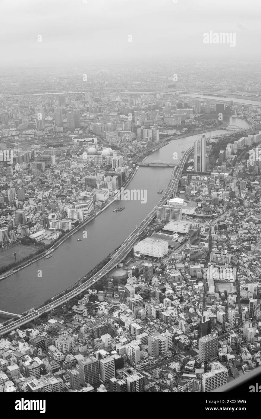 Vista aerea in bianco e nero del fiume Sumida che si snoda attraverso Tokyo, Giappone, evidenziando la fitta struttura urbana e i ponti della città. Foto Stock