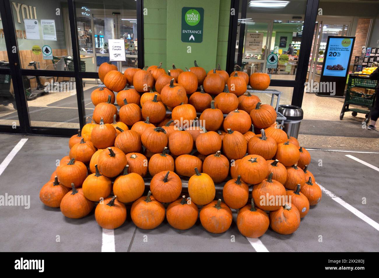 Collezione artistica di zucche in vendita all'ingresso del Whole Foods Market. St Paul, Minnesota, Minnesota, Stati Uniti Foto Stock