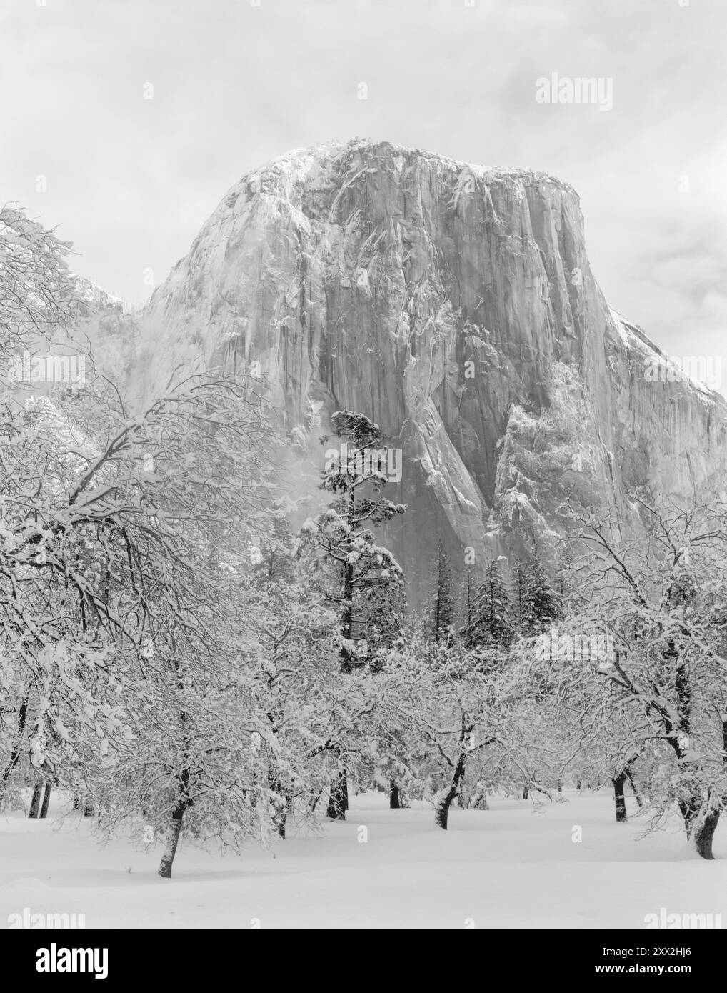 BE01971-00....CASLIFORNIA - El Capitan in inverno, Parco Nazionale di Yosemite. Foto Stock