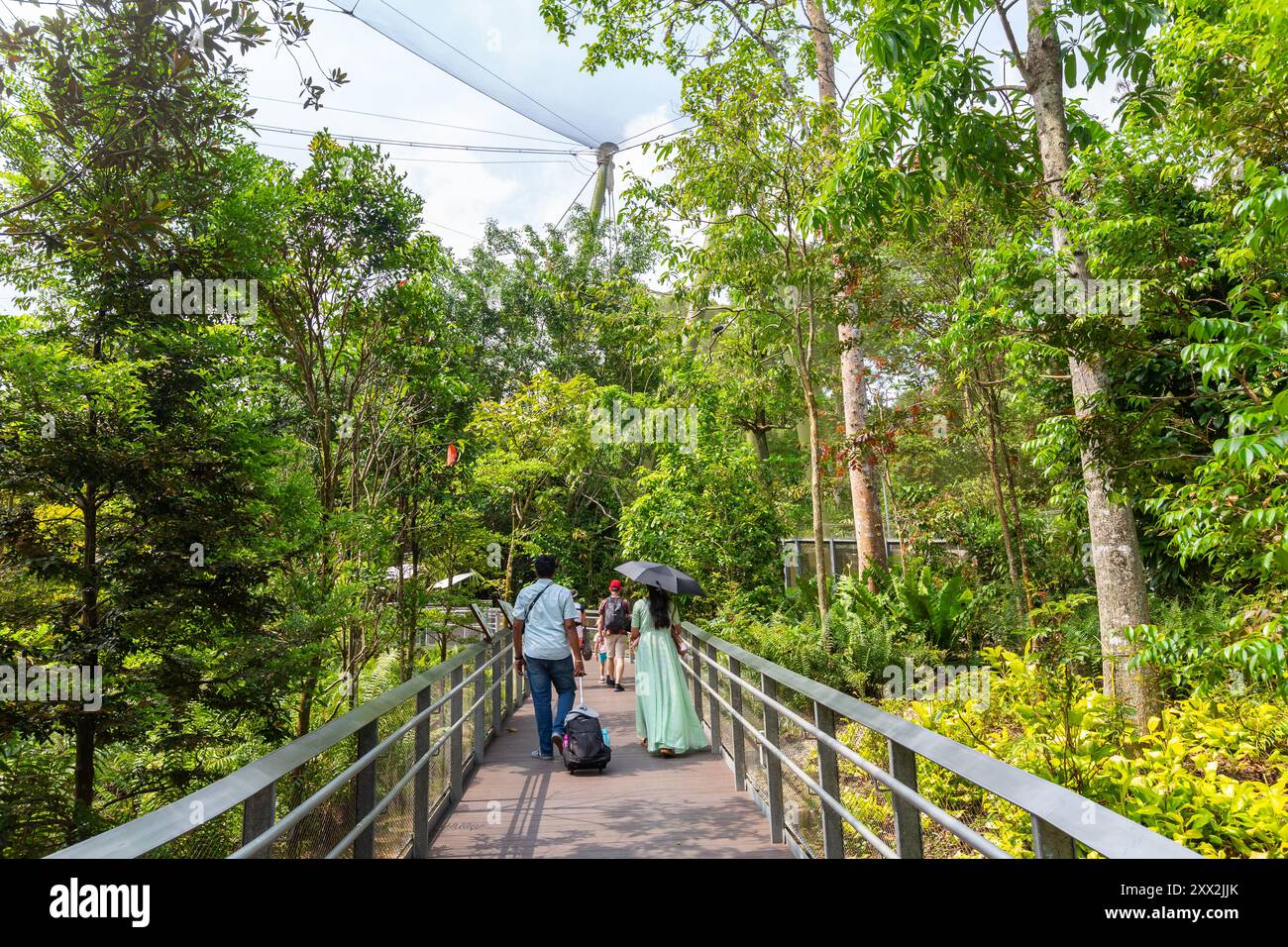 I visitatori camminano o visitano la passerella designata per scoprire gli uccelli che abitano all'interno dell'attrazione paesaggistica Bird Paradise, Singapore. Foto Stock