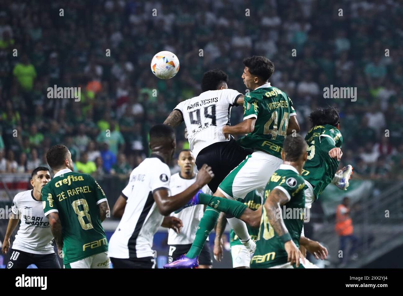 Vitor Reis del Palmeiras durante la partita contro il Botafogo nella seconda tappa del 16 round della CONMEBOL Libertadores, presso Allianz Parque, a ovest di São Paolo, questo mercoledì 08/21/2024 Credit: Brazil Photo Press/Alamy Live News Foto Stock