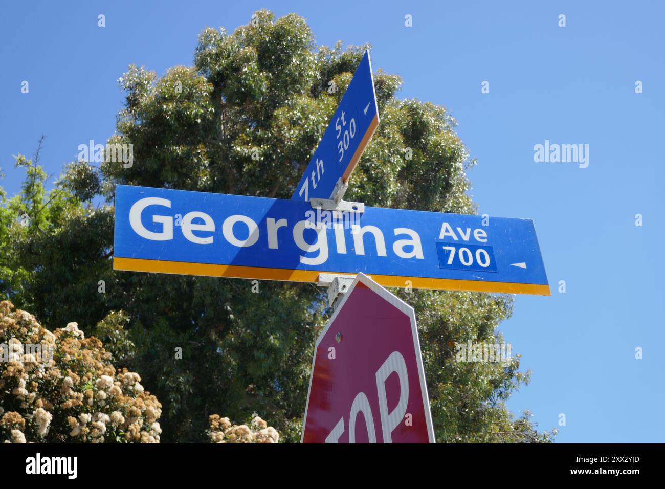 Santa Monica, California, USA 19 agosto 2024 Georgina Avenue il 19 agosto 2024 a Santa Monica, California, USA. Foto di Barry King/Alamy Stock Photo Foto Stock