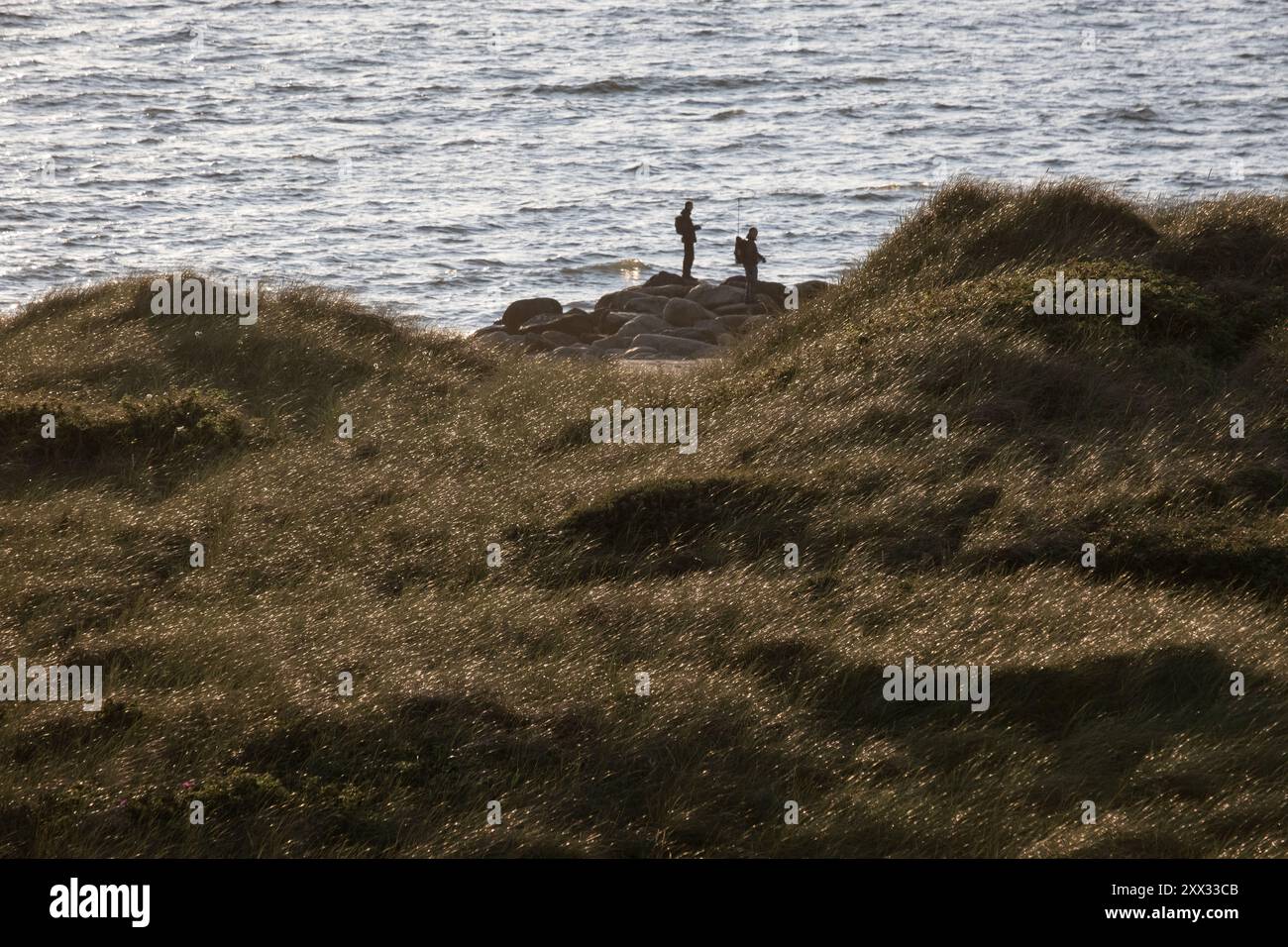 Due pescatori sulle dune di sabbia del parco nazionale di Thy sulla costa occidentale della Danimarca Foto Stock