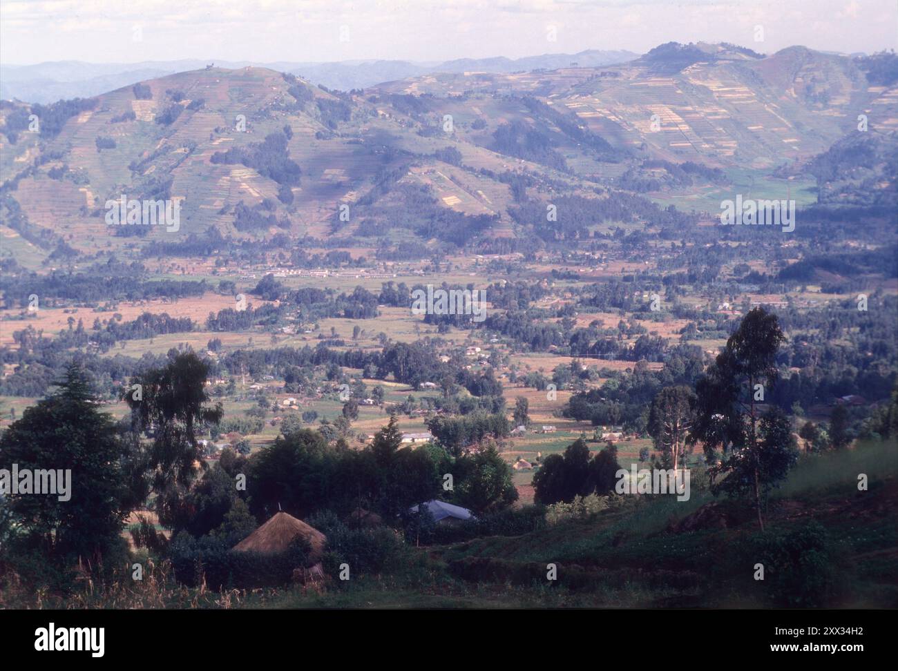Paese collinare in Ruanda Foto Stock