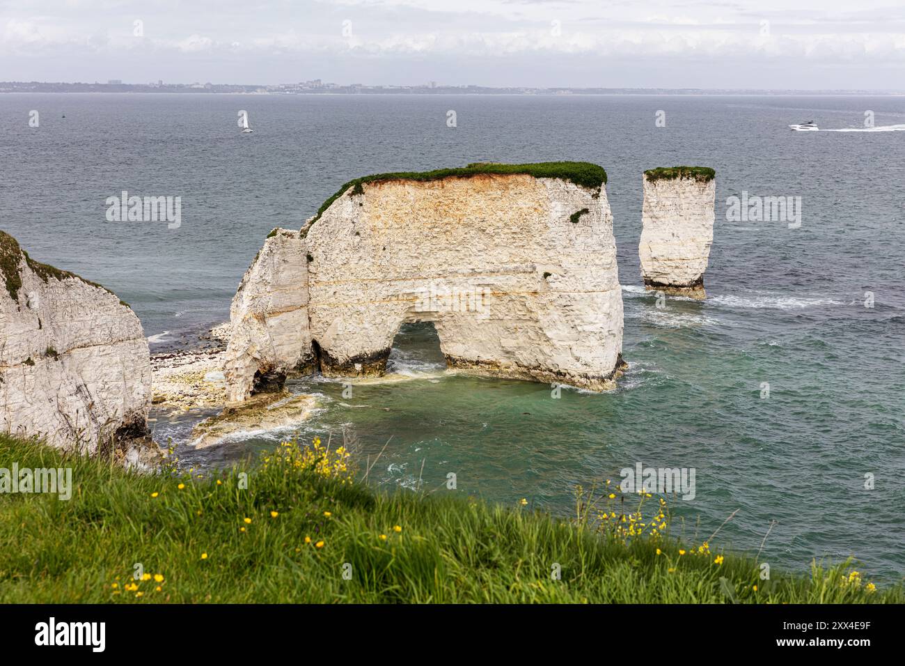 Old Harry Rocks, Handfast Point, Dorset, Regno Unito, Inghilterra, rocce di gesso, formazioni di gesso, isola di Purebeck, costa giurassica, sito patrimonio dell'umanità dell'UNESCO, Foto Stock Old Harry Rocks, Handfast Point, Dorset, Regno Unito, Inghilterra, rocce di gesso, formazioni di gesso, isola di Purebeck, costa giurassica, sito patrimonio dell'umanità dell'UNESCO, Foto Stock