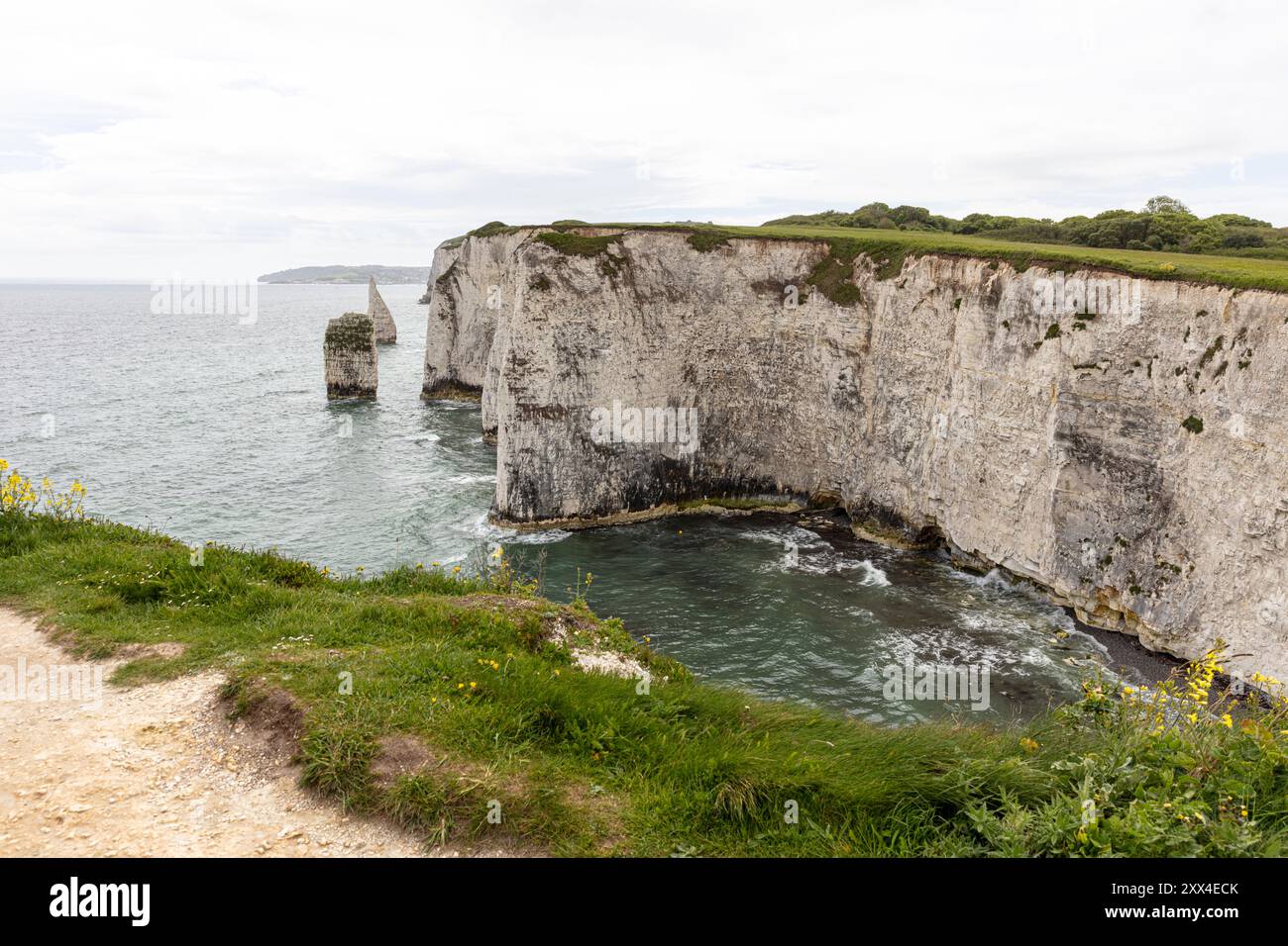 Old Harry Rocks, Handfast Point, Dorset, Regno Unito, Inghilterra, rocce di gesso, formazioni di gesso, isola di Purebeck, costa giurassica, sito patrimonio dell'umanità dell'UNESCO, Foto Stock Old Harry Rocks, Handfast Point, Dorset, Regno Unito, Inghilterra, rocce di gesso, formazioni di gesso, isola di Purebeck, costa giurassica, sito patrimonio dell'umanità dell'UNESCO, Foto Stock