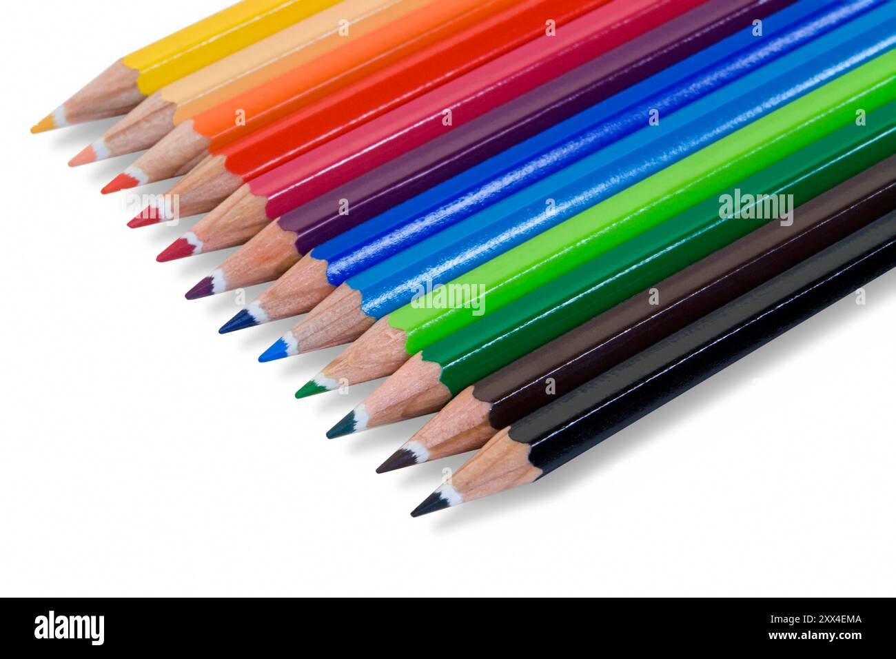 Immagine dettagliata che mostra una fila di matite colorate sul retro bianco con ombra Foto Stock