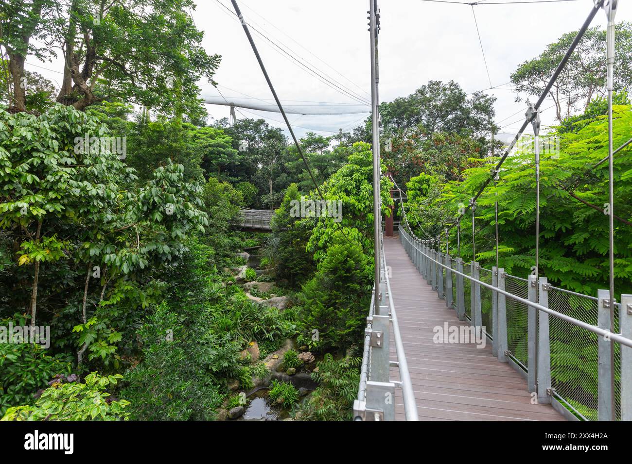 Design architettonico di ponti a maglie sospese, catene di strutture a diversi punti a Bird Paradise. Singapore. Foto Stock