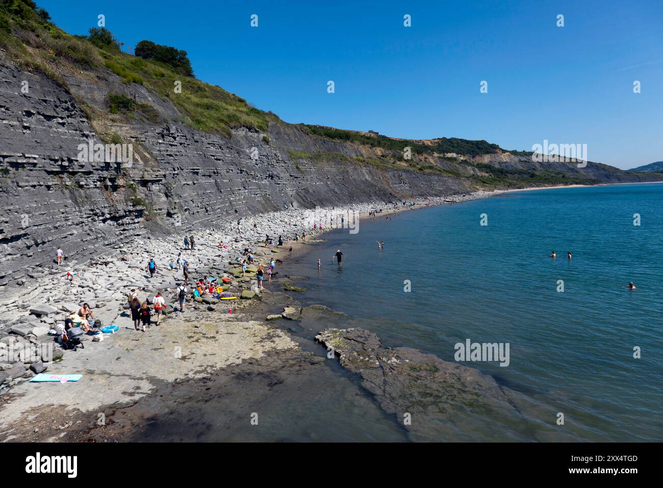 The Blue Lias, una caratteristica prevalente delle scogliere intorno a Lyme Regis e Charmouth, sulla Jurassic Coast nel Dorset, Foto Stock