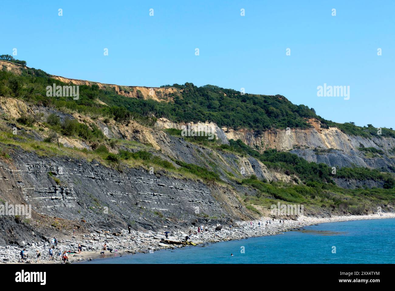 The Blue Lias, una caratteristica prevalente delle scogliere intorno a Lyme Regis e Charmouth, sulla Jurassic Coast nel Dorset, Foto Stock