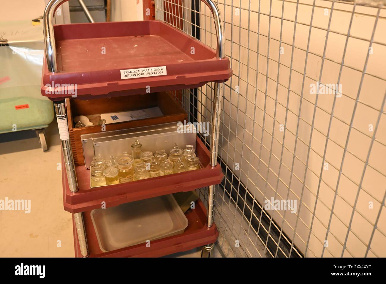 Un carrello per campioni umidi presso la Spirit Collection nel Museo di storia naturale di Londra Foto Stock