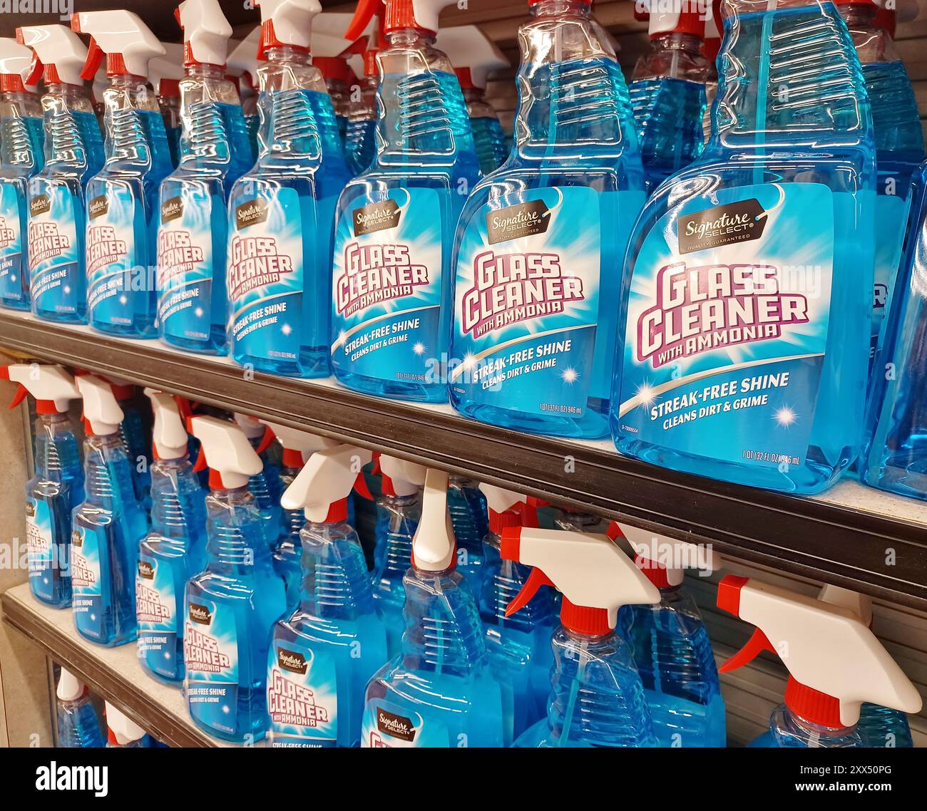 Houston, Texas USA 05-12-2024: Ripiano per flaconi spray in plastica per pulizia vetri. Foto Stock