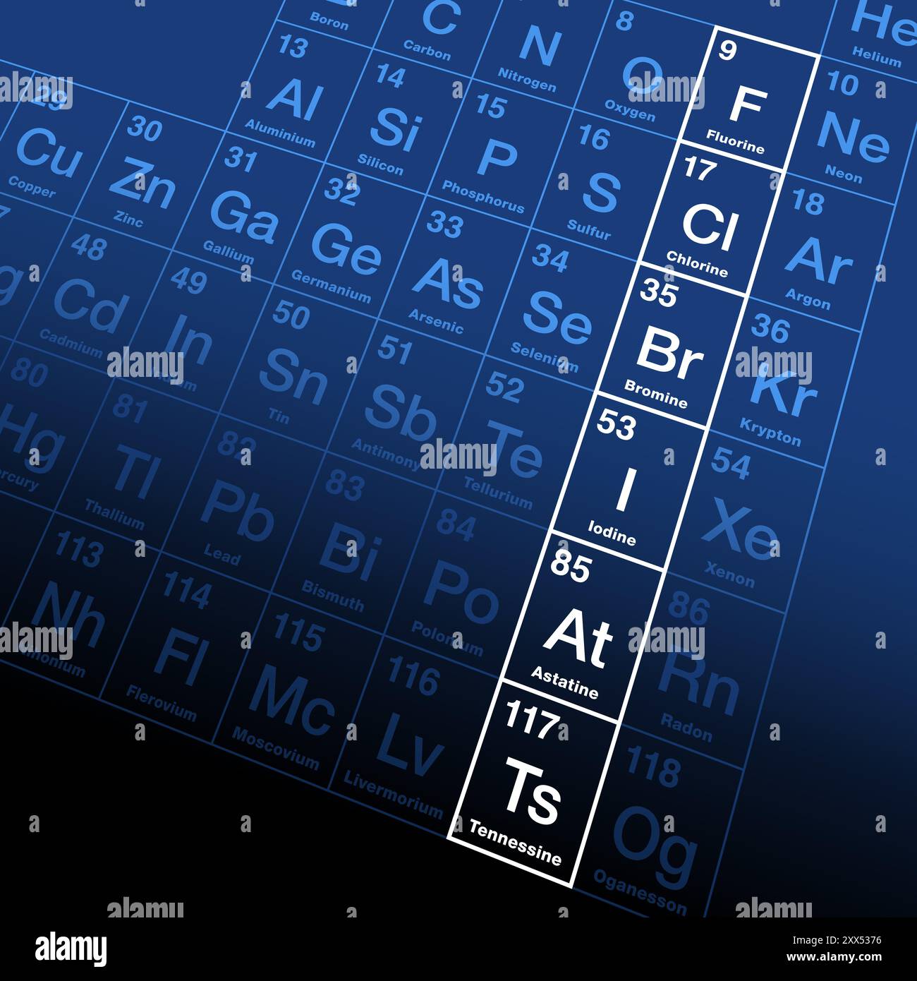 Gli alogeni, un gruppo di elementi chimicamente correlati nella tavola periodica. Fluoro, cloro, bromo, iodio, astatina e tennessina. Foto Stock