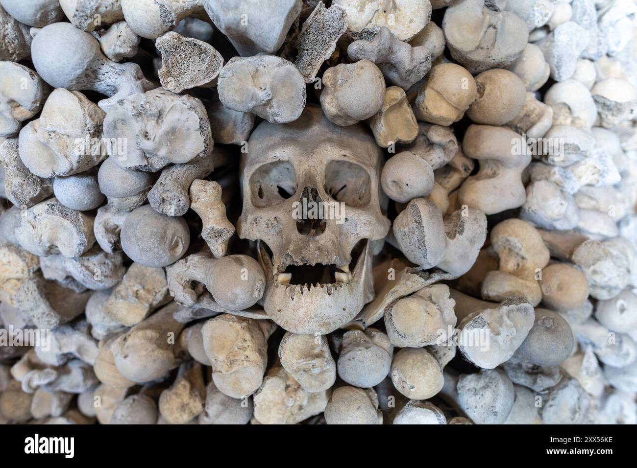 Sculls umani nella cripta sotto la chiesa di St Leonards, la Hythe Kent Foto Stock