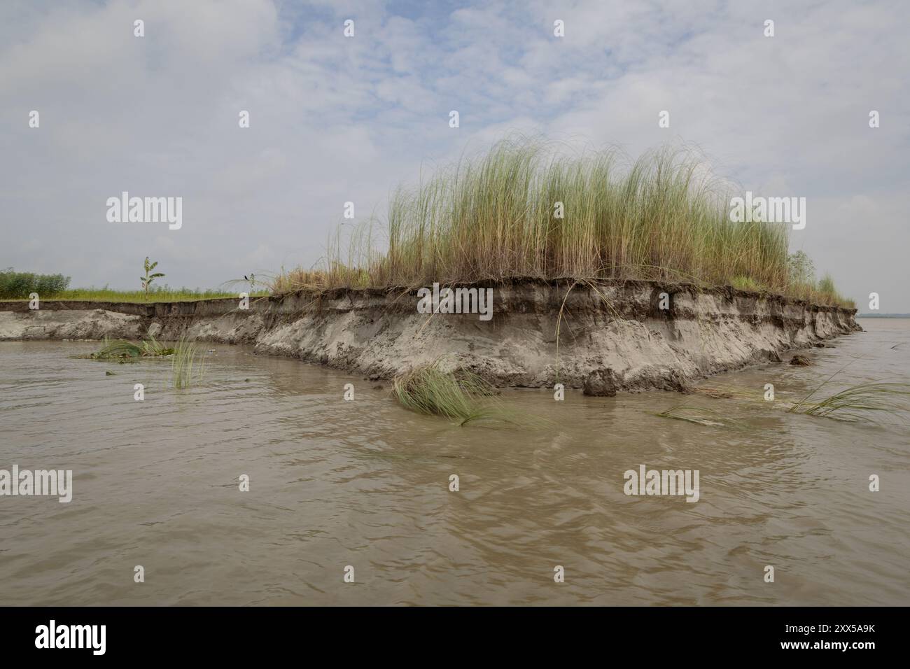Terreni agricoli spazzati via dal fiume Brahmaputra. Il fiume raggiunse livelli record all'inizio di luglio ed erose vaste aree di terreni agricoli. Foto Stock