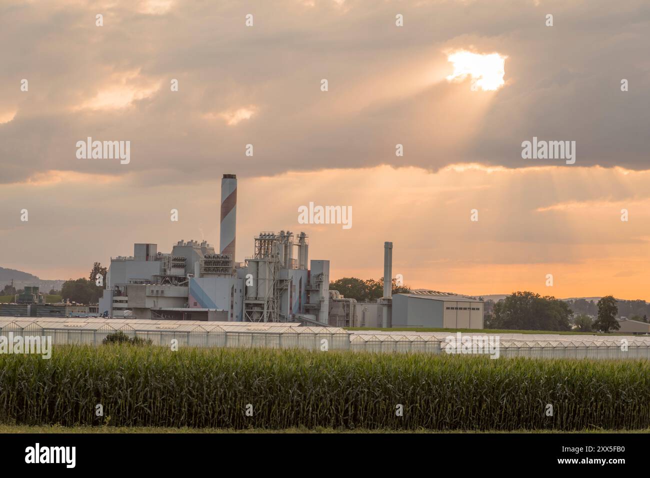 La società svizzera Climeworks eseguono 30 DAC - dirigere aria Capture - ventole sul tetto di questo inceneritore di rifiuti a Hinwil al di fuori di Zurigo. Fondata nel 2009 da Christoph Gebald e Jan Wurzbacher, la società ha commercializzato il carbonio modulari unità di cattura, ciascuno dei quali è in grado di aspirare fino a 135 kg di CO2 nell'aria quotidianamente. Il processo è energia esigente, e le unità in Hilwil ottenere la potenza dall'inceneritore. A sua volta la CO2 è pompata alle serre (in primo piano) per accellerate la produzione di pomodori e cetrioli. Foto Stock