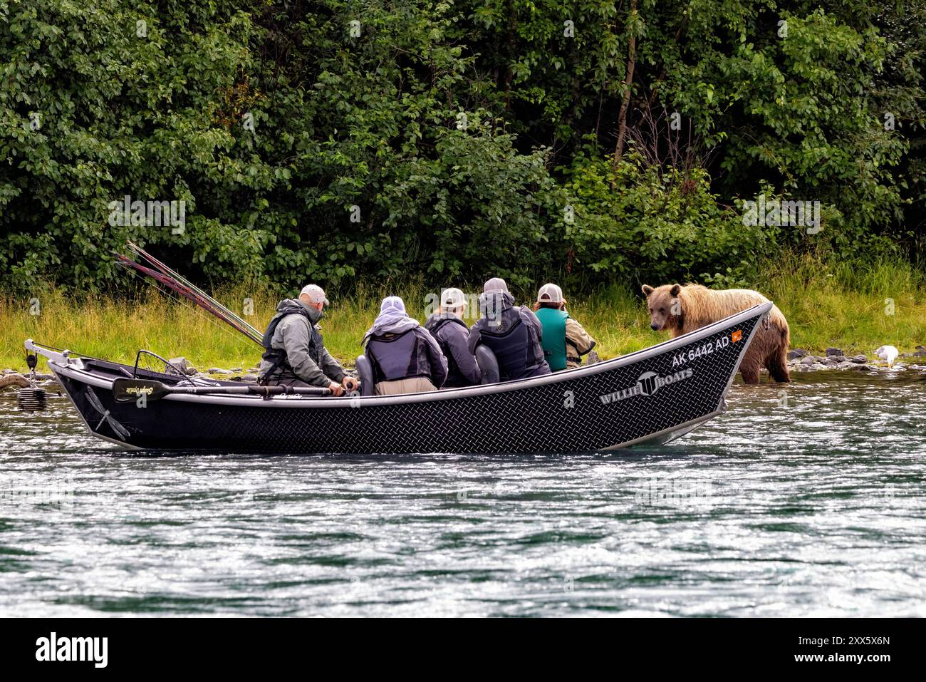 Pescatori che osservano l'orso bruno costiero sul fiume Kenai - Penisola di Kenai nell'Alaska centro-meridionale. Foto Stock