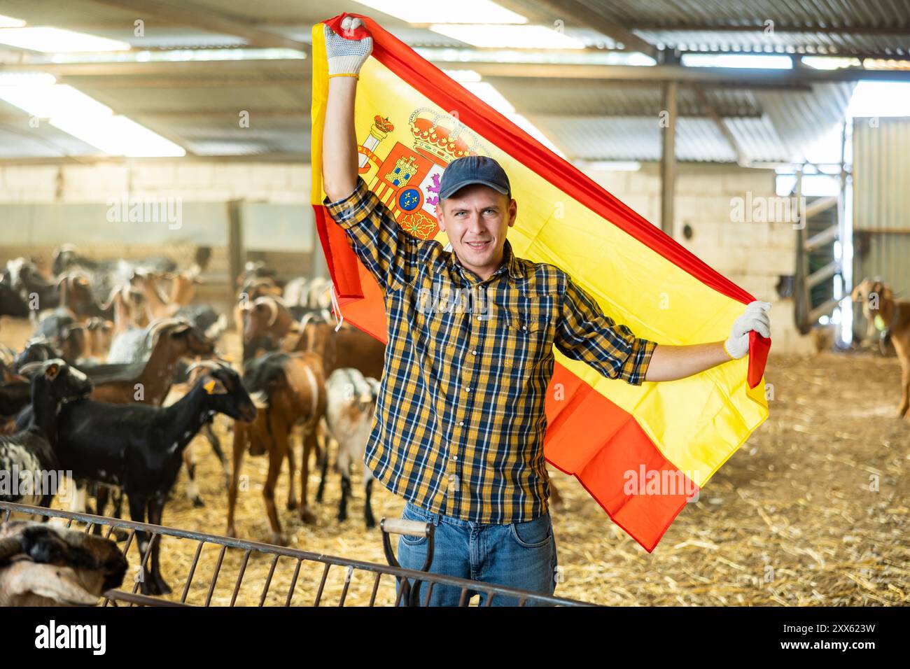 Agricoltore sorridente in piedi in capanna di capra con bandiera spagnola Foto Stock