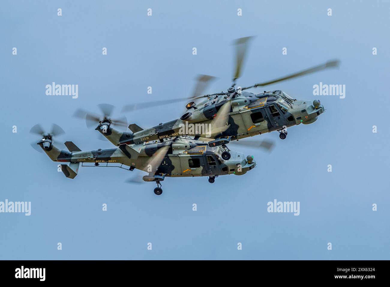 Royal Navy Wildcat Helicopters in volo al Fairford RIAT 2024 Foto Stock