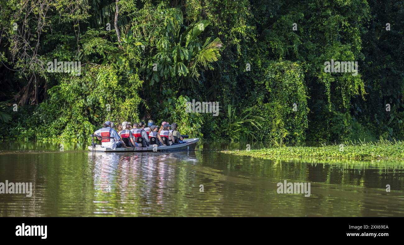I turisti esplorano il fiume nella foresta pluviale in barca, la fitta vegetazione, il Parco Nazionale di Tortuguero, la Costa Rica, l'America centrale Foto Stock