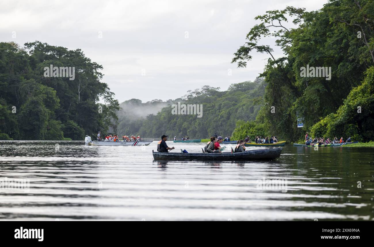 I turisti esplorano il fiume nella foresta pluviale in barca, la fitta vegetazione, il Parco Nazionale di Tortuguero, la Costa Rica, l'America centrale Foto Stock