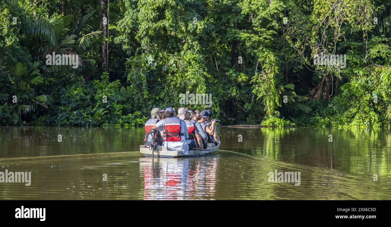 I turisti esplorano il fiume nella foresta pluviale in barca, la fitta vegetazione, il Parco Nazionale di Tortuguero, la Costa Rica, l'America centrale Foto Stock