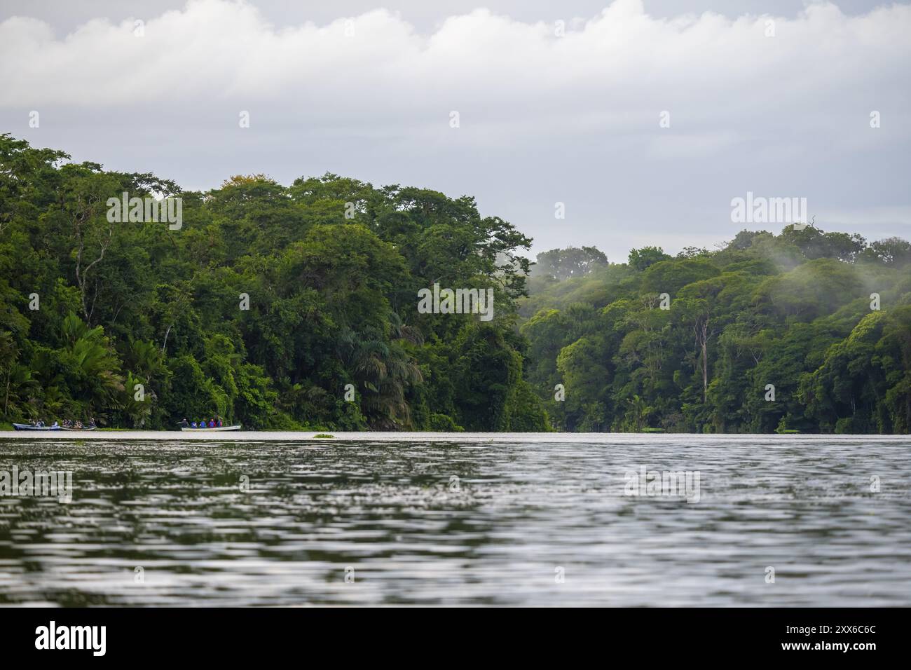 Fiume nella foresta pluviale, fitta vegetazione, Parco Nazionale di Tortuguero, Costa Rica, America centrale Foto Stock
