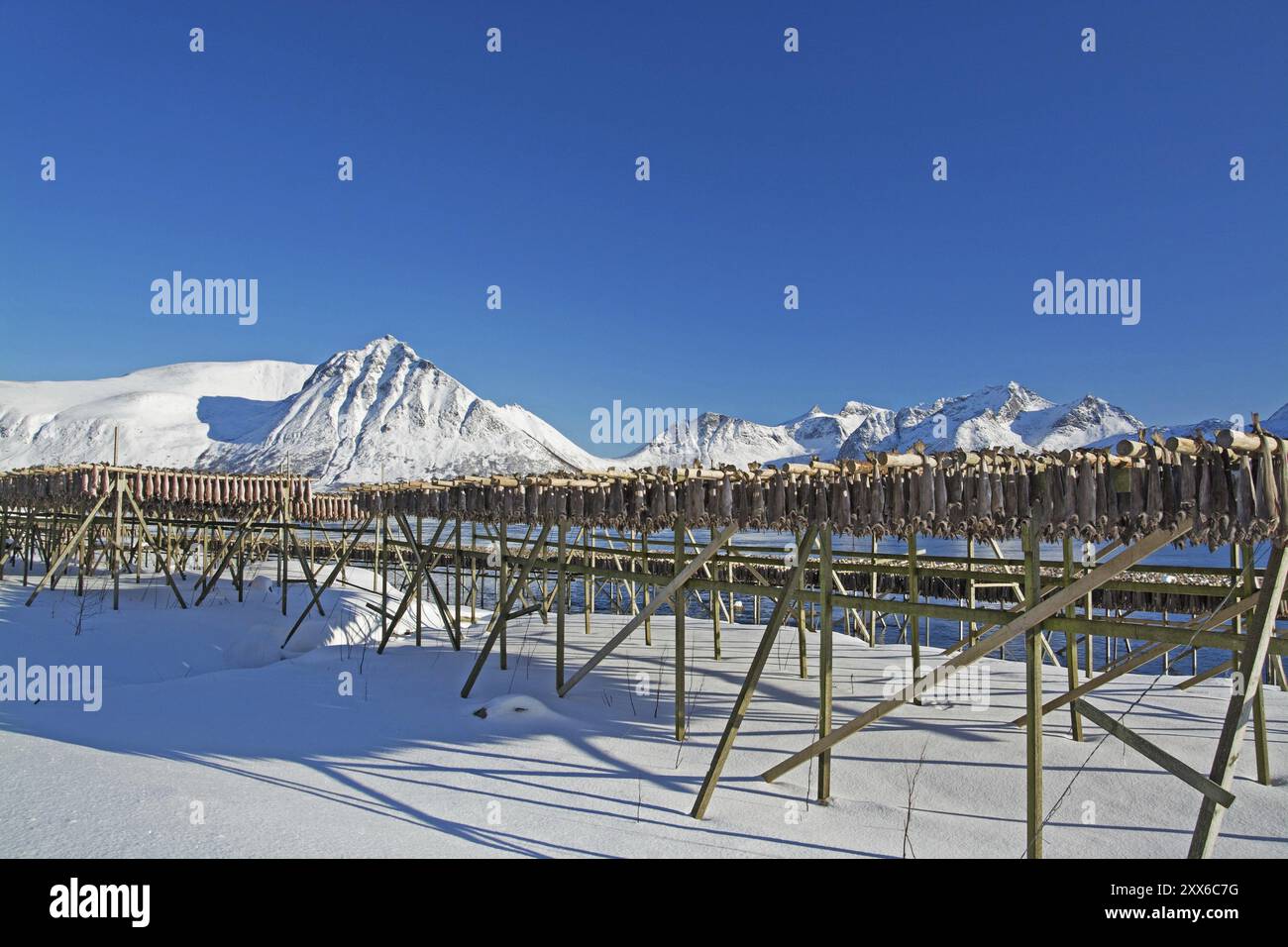 Sulla spiaggia di Barstrand sull'isola di Gimsoymyrene, Lofoten, in Norvegia in inverno, Barstrand, Lofoten, Norvegia, Europa Foto Stock