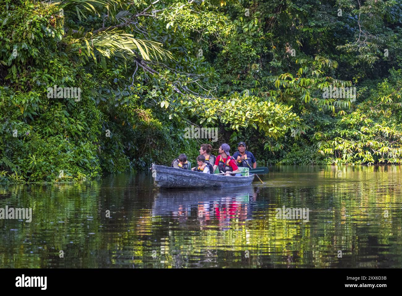 I turisti esplorano il fiume nella foresta pluviale in barca, la fitta vegetazione, il Parco Nazionale di Tortuguero, la Costa Rica, l'America centrale Foto Stock