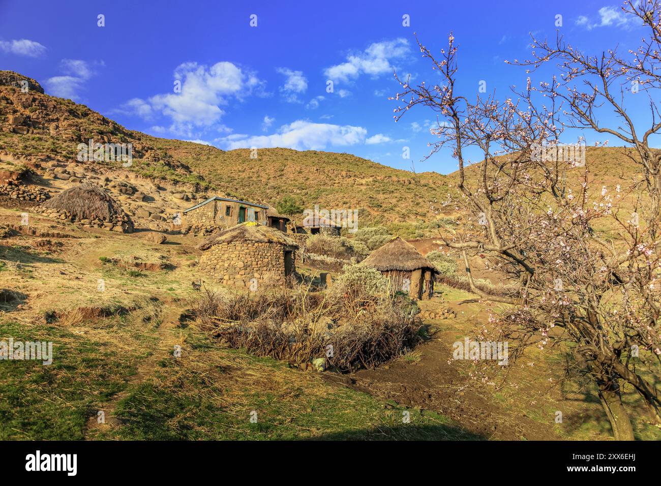 Villaggio tradizionale di capanne nel Lesotho rurale Foto Stock