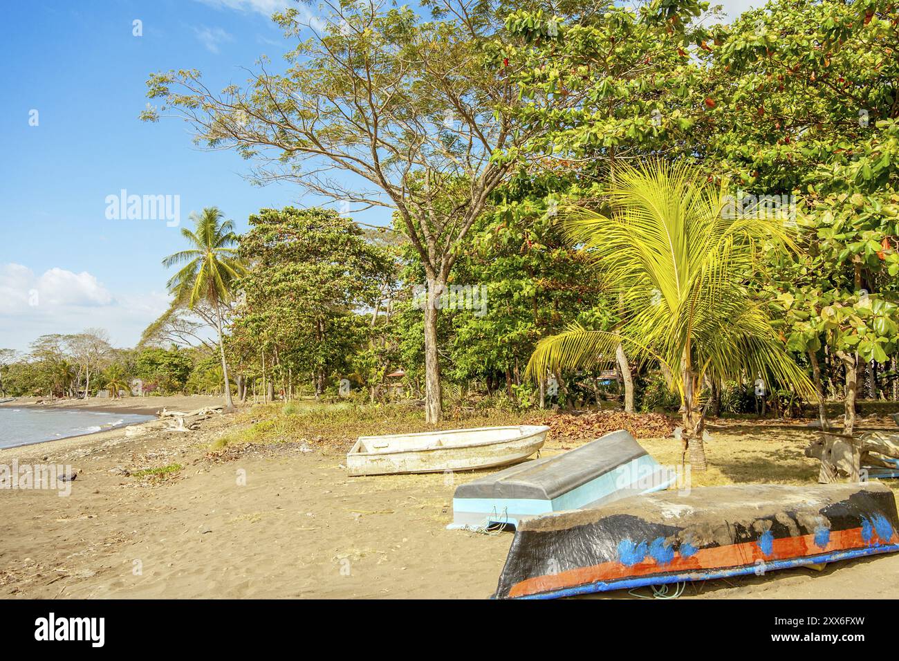 Sulla spiaggia di Playa Tarcoles Costa Rica Foto Stock