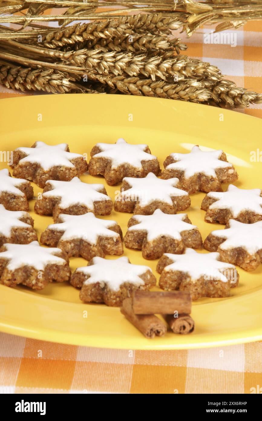 I biscotti alle stelle della cannella (in tedesco Zimtsterne) sono tipici biscotti di Natale tedeschi e svizzeri Foto Stock