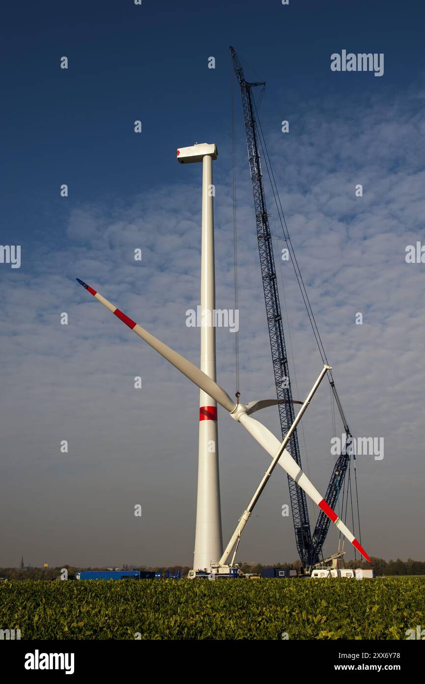 Una gru solleva il rotore di una nuova turbina eolica Foto Stock