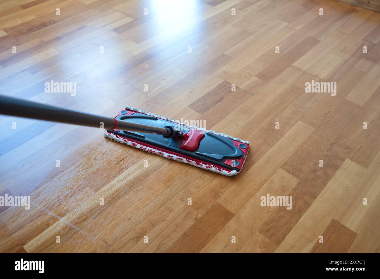 Pulizia di mocio e percorso bagnato su parquet o pavimento in laminato dell'appartamento, non c'è nessuno. Foto Stock
